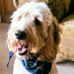Helen Corbett - @helen.corbett.14 - Instagram