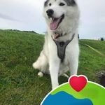 Helen Corbett - @diese.2018 - Instagram