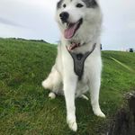 Helen Corbett - @corbett.helen - Instagram