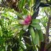 Helen Corso - Facebook