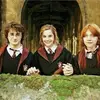 Helena Covington - @harry.potter.things11 - TikTok
