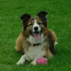 Helen Cox - @helen.cox25 - TikTok