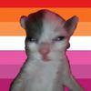 LESBIANS RAAAAAH - @helenascreech - TikTok