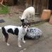 Helen Croft - Facebook