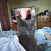 Helen Kitching - Facebook
