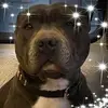 Terry Helen Cushing - @terry9997 - TikTok