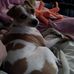 Helen Dailey - Facebook