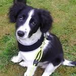 Helen Deans - @helen.deans.50 - Instagram