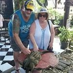 Helen Dell - @dell.helen - Instagram