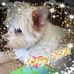 Helen Denning - Facebook