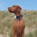 Helen Denning - Facebook
