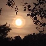 Helen Glendenning - @helenglendenning - Instagram