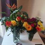 Helen Devlin - @helendvlin1960 - Instagram
