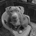 Helen Devries - Facebook