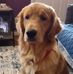 Helen Devries - Facebook