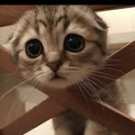 Helen - @helendevries775 - Instagram