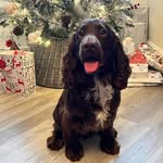 Helen Dobbs - @hjdobbs - Instagram
