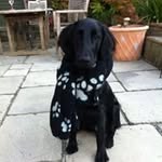 Helen Dodds - @dodds.helen - Instagram