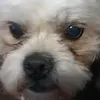 Helen Dodson - @helen.dodson1 - TikTok