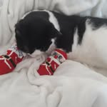 Helen Dorey - @helen.dorey - Instagram