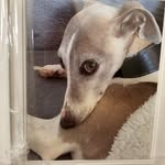Helen Dring - @helenmdring - Instagram