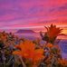 Helen Druce - Facebook