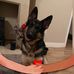 Helen Druce - Facebook