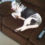 Helen Ducker - @helen.ducker.509 - Instagram