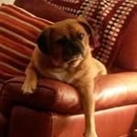 Helen Duffield-moore - @duffieldmoore - Instagram