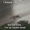 Helen dy - @helen.dy6 - TikTok