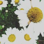 Helen Eagleson - @lexie.journey - Instagram