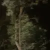 helen.eakin2 - @helen.eakin2 - TikTok