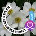 Helen Eckert - Facebook