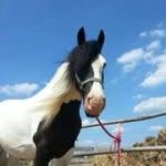 @helenedgar2003 - Instagram
