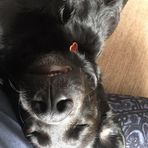 Helen Eggert - Facebook