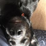 Helen Eggert - @helen.eggert - Instagram
