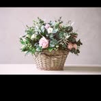 Helen Eggleton - Facebook