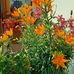 Helene Edlinger - Facebook