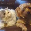 heleneverett459 - @heleneverett459 - TikTok