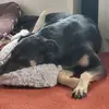 Helen.Everett - @helen.everett - TikTok