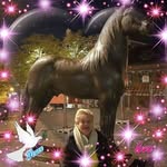 Helene Wingerath - @helenewingerath - Instagram