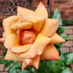 Helen Fahey - @helen.fahey.589583 - Instagram