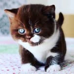 Fast_Helen - @fast_helen_12 - Instagram
