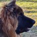 Helen Fasth - Facebook