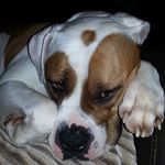 Helen Ferguson - @helenferguson479 - Instagram