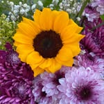 Helen Ferguson - @here4itsunshine - Instagram