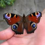 Helen Flaherty - @flaherty.e.helen - Instagram