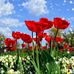 Helen Fleckney - Facebook