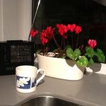 Helen Fleming - @helen.fleming - Instagram