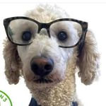 Helen Fleming - @helen.fleming.49 - Instagram
